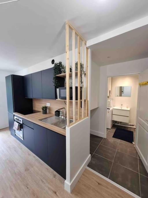 Le Bon Quai Appartement Grenoble Buitenkant foto
