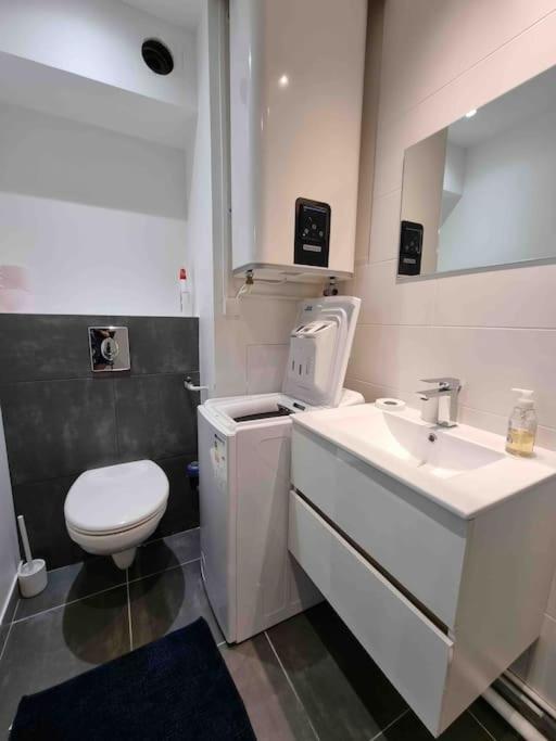 Le Bon Quai Appartement Grenoble Buitenkant foto