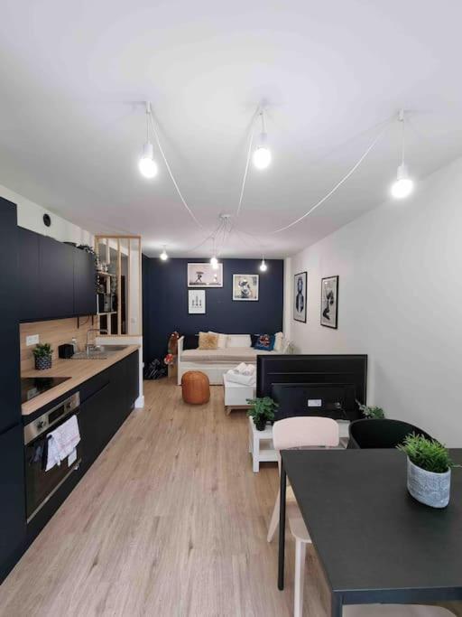 Le Bon Quai Appartement Grenoble Buitenkant foto